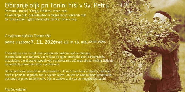 La raccolta delle olive presso la Casa di Tona a Sv. Peter